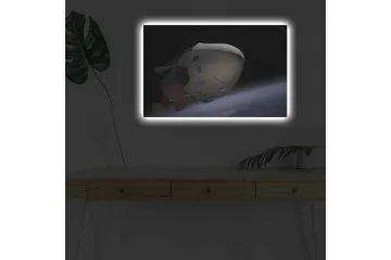 Canvastavla med LED-belysning - Rymdfarkost i omloppsbana över jorden - Svart / Vit / Blå - Inredning - Tavlor & posters - Canvastavla