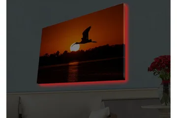 Canvastavla med LED-belysning - Silhuett av en fågel som flyger mot en solnedgång - Orange / Svart - Inredning - Tavlor & posters - Canvastavla