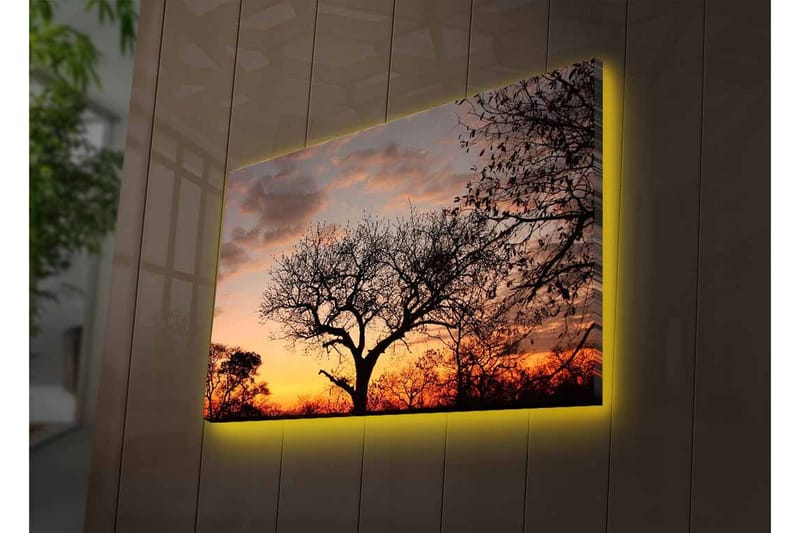 Canvastavla med LED-belysning - Silhuett av ett träd mot en färgsprakande solnedgång - Mörkbrun / Orange / Gul - Inredning - Tavlor & posters - Canvastavla