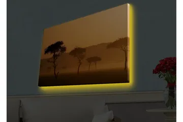 Canvastavla med LED-belysning - Silhuetter av träd i en dimmig, gyllene landskapsscen - Guld / Svart - Inredning - Tavlor & posters - Canvastavla