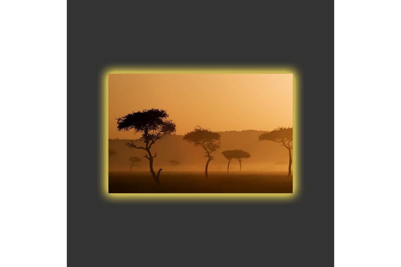 Canvastavla med LED-belysning - Silhuetter av träd i en dimmig, gyllene landskapsscen - Guld / Svart - Inredning - Tavlor & posters - Canvastavla