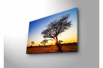 Canvastavla med LED-belysning - Silhuetter av träd mot en solnedgång i savannen - Guld / Blå / Svart - Inredning - Tavlor & posters - Canvastavla
