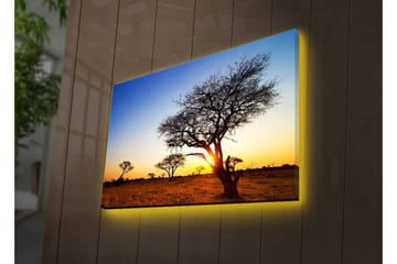 Canvastavla med LED-belysning - Silhuetter av träd mot en solnedgång i savannen - Guld / Blå / Svart - Inredning - Tavlor & posters - Canvastavla