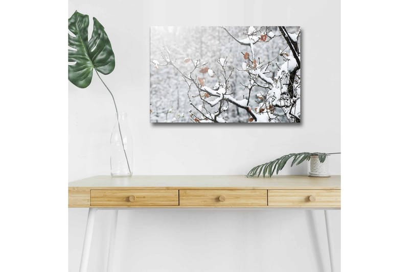 Canvastavla med LED-belysning - Snöklädda grenar med bruna löv, Vitt / Brunt / Grått