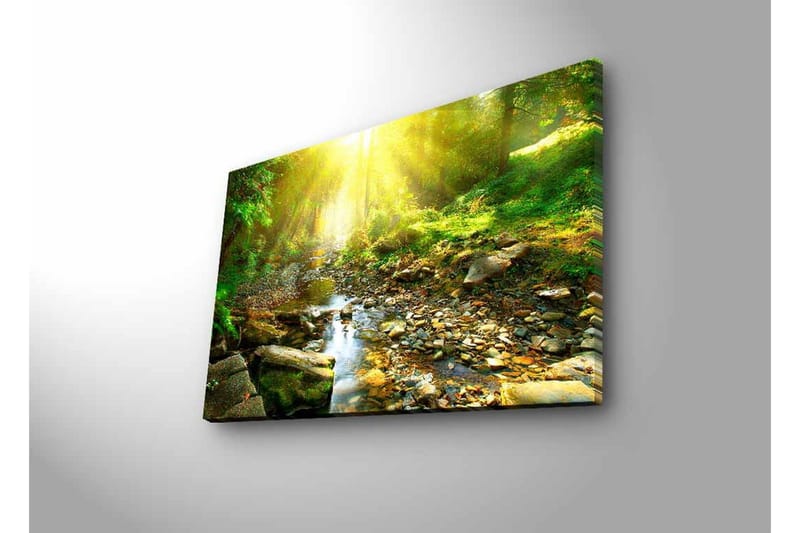 Canvastavla med LED-belysning - Solbelyst skog med en porlande bäck - Grön / Gul / Brun - Inredning - Tavlor & posters - Canvastavla