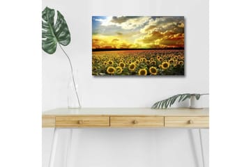 Canvastavla med LED-belysning - Solfältslandskap med strålande solnedgång - Gult / Grönt / Orange - Inredning - Tavlor & posters - Canvastavla