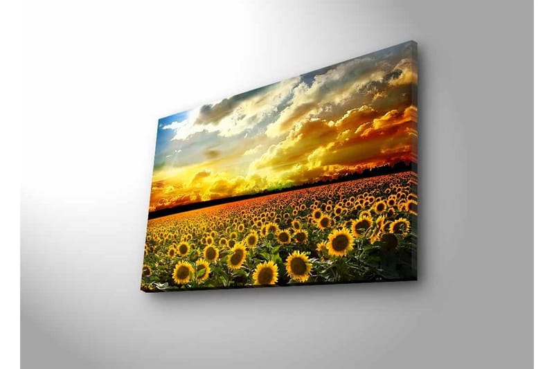 Canvastavla med LED-belysning - Solfältslandskap med strålande solnedgång - Gult / Grönt / Orange - Inredning - Tavlor & posters - Canvastavla