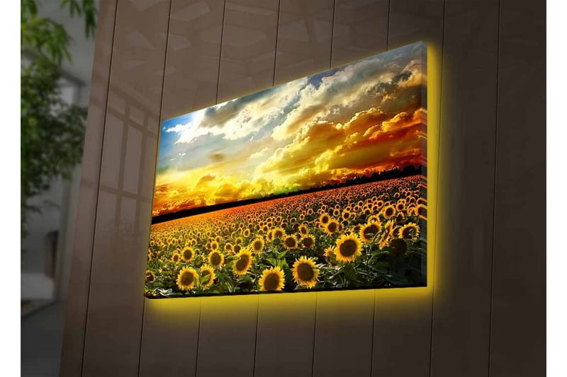 Canvastavla med LED-belysning - Solfältslandskap med strålande solnedgång - Gult / Grönt / Orange - Inredning - Tavlor & posters - Canvastavla