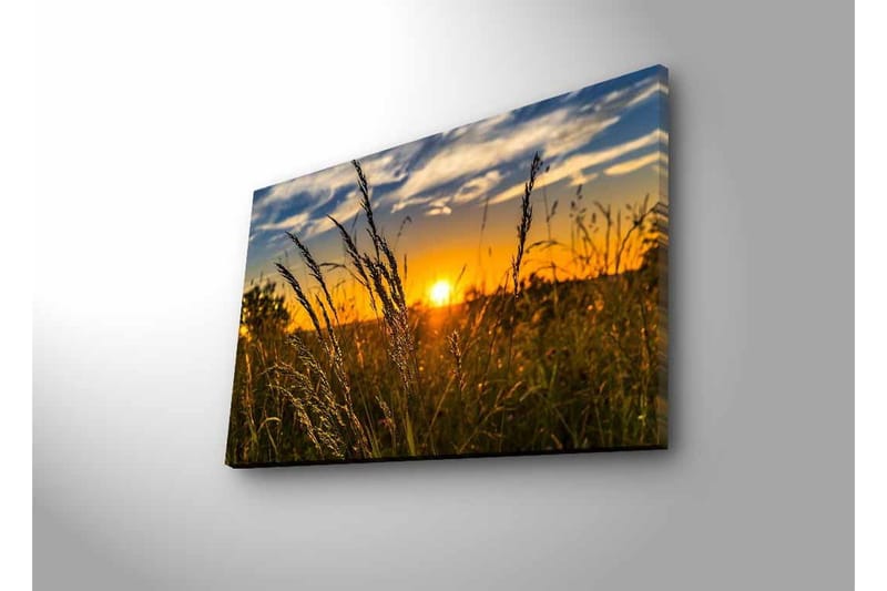 Canvastavla med LED-belysning - Solnedgång över ett fält med grässtrån i förgrunden - Guld / Orange / Blå - Inredning - Tavlor & posters - Canvastavla