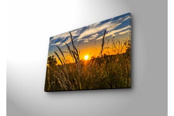 Canvastavla med LED-belysning - Solnedgång över ett fält med grässtrån i förgrunden - Guld / Orange / Blå - Inredning - Tavlor & posters - Canvastavla