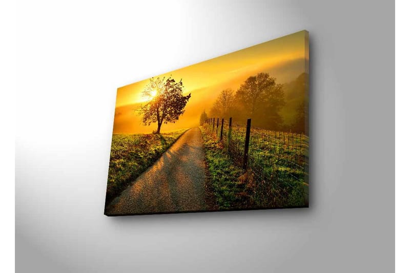 Canvastavla med LED-belysning - Soluppgång över en slingrande väg med träd och gärdesgård - Guld / Grön / Brun - Inredning - Tavlor & posters - Canvastavla