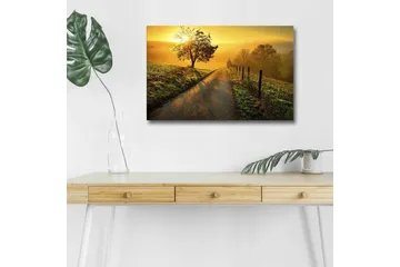 Canvastavla med LED-belysning - Soluppgång över en slingrande väg med träd och gärdesgård - Guld / Grön / Brun - Inredning - Tavlor & posters - Canvastavla