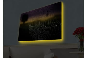 Canvastavla med LED-belysning - Spindelnät med daggdroppar i mjukt ljus - Svart / Grå / Guld - Inredning - Tavlor & posters - Canvastavla