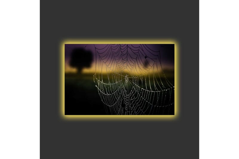 Canvastavla med LED-belysning - Spindelnät med daggdroppar i mjukt ljus - Svart / Grå / Guld - Inredning - Tavlor & posters - Canvastavla