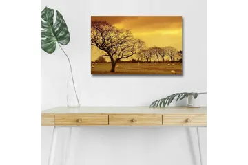 Canvastavla med LED-belysning - Stämningsfull landskapsvy med siluetter av träd mot en gyllene himmel - Guld / Brun / Svart - Inredning - Tavlor & posters - Canvastavla