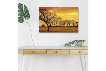 Canvastavla med LED-belysning - Stämningsfull landskapsvy med siluetter av träd mot en gyllene himmel - Guld / Brun / Svart - Inredning - Tavlor & posters - Canvastavla