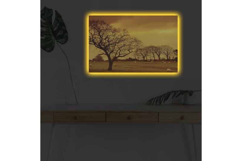 Canvastavla med LED-belysning - Stämningsfull landskapsvy med siluetter av träd mot en gyllene himmel - Guld / Brun / Svart - Inredning - Tavlor & posters - Canvastavla
