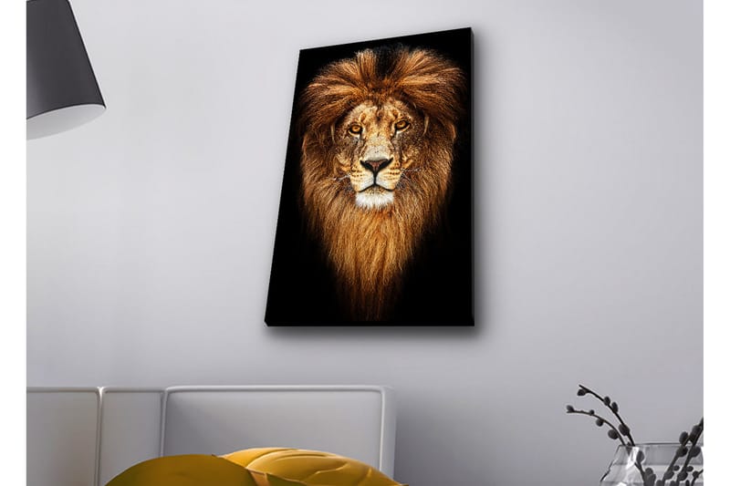 Canvastavla med LED-belysning - Ståtlig lejonhuvud med majestätisk man - Guld / Svart / Brun - Inredning - Tavlor & posters - Canvastavla
