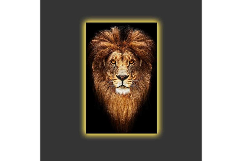 Canvastavla med LED-belysning - Ståtlig lejonhuvud med majestätisk man - Guld / Svart / Brun - Inredning - Tavlor & posters - Canvastavla