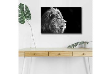 Canvastavla med LED-belysning - Ståtlig lejonprofil i svartvitt - Svart / Grå - Inredning - Tavlor & posters - Canvastavla