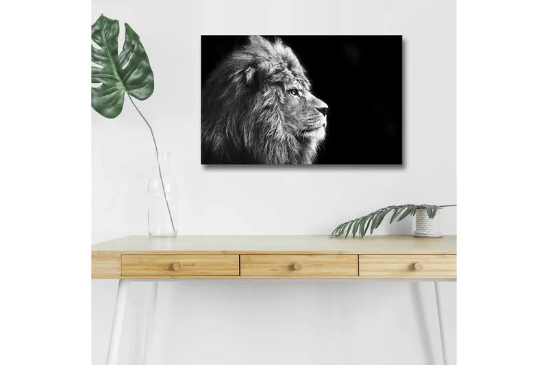 Canvastavla med LED-belysning - Ståtlig lejonprofil i svartvitt, Svart / Grå