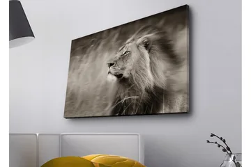 Canvastavla med LED-belysning - Ståtlig lejonprofil i svartvitt - Svart / Grå - Inredning - Tavlor & posters - Canvastavla