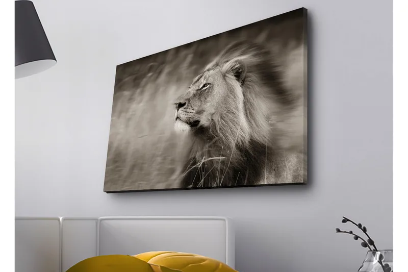 Canvastavla med LED-belysning - Ståtlig lejonprofil i svartvitt - Svart / Grå - Inredning - Tavlor & posters - Canvastavla