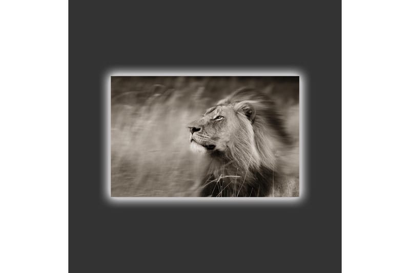 Canvastavla med LED-belysning - Ståtlig lejonprofil i svartvitt - Svart / Grå - Inredning - Tavlor & posters - Canvastavla
