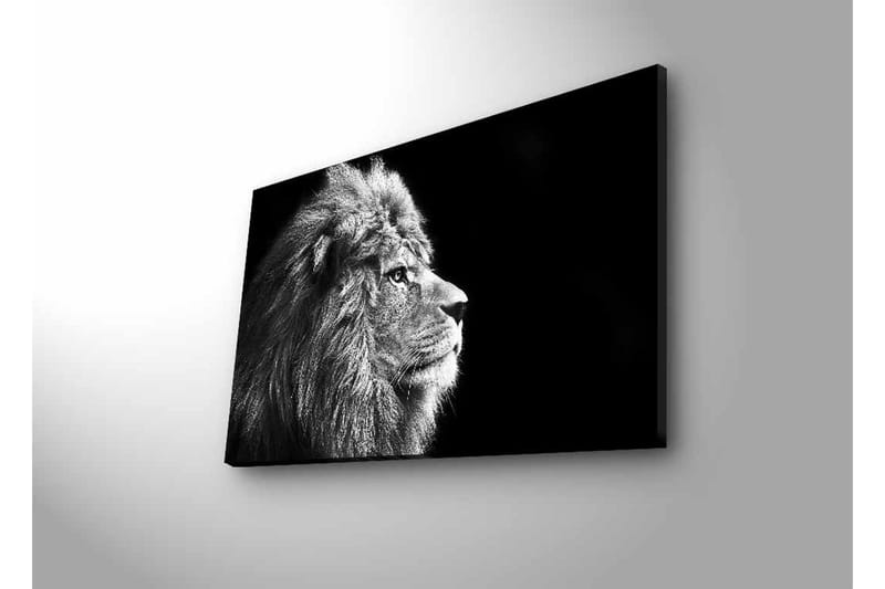 Canvastavla med LED-belysning - Ståtlig lejonprofil i svartvitt - Svart / Grå - Inredning - Tavlor & posters - Canvastavla