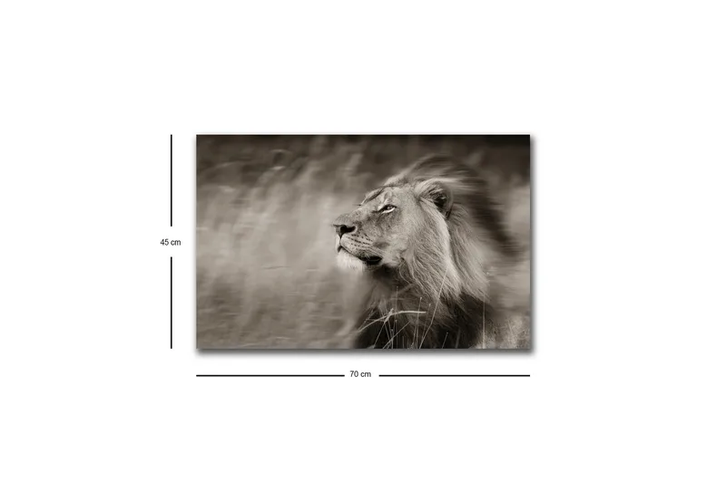 Canvastavla med LED-belysning - Ståtlig lejonprofil i svartvitt - Svart / Grå - Inredning - Tavlor & posters - Canvastavla