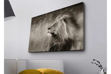 Canvastavla med LED-belysning - Ståtlig lejonprofil i svartvitt - Svart / Grå - Inredning - Tavlor & posters - Canvastavla