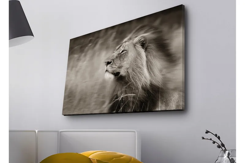 Canvastavla med LED-belysning - Ståtlig lejonprofil i svartvitt - Svart / Grå - Inredning - Tavlor & posters - Canvastavla