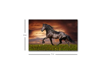 Canvastavla med LED-belysning - Stolt svart häst som galopperar över en grön äng - Svart / Grön / Orange - Inredning - Tavlor & posters - Canvastavla
