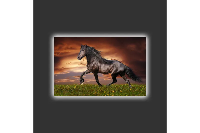 Canvastavla med LED-belysning - Stolt svart häst som galopperar över en grön äng - Svart / Grön / Orange - Inredning - Tavlor & posters - Canvastavla