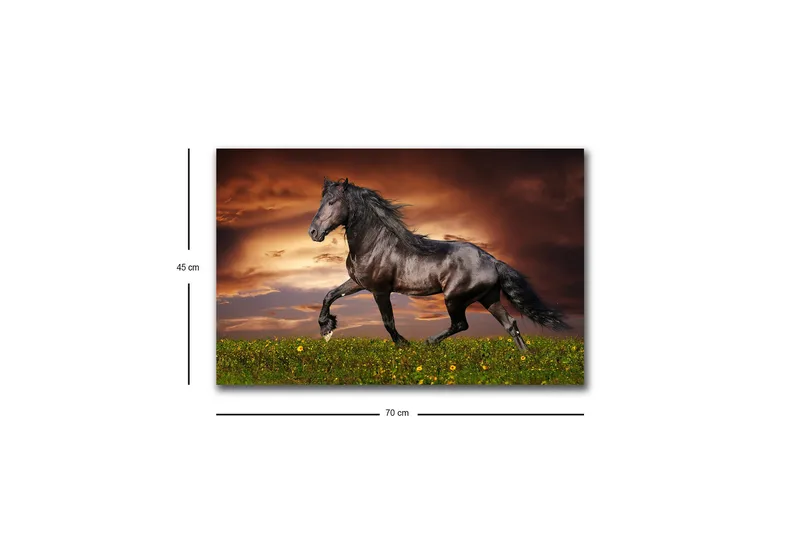 Canvastavla med LED-belysning - Stolt svart häst som galopperar över en grön äng - Svart / Grön / Orange - Inredning - Tavlor & posters - Canvastavla