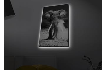 Canvastavla med LED-belysning - Storslagen elefant i svartvitt - Svart / Vitt - Inredning - Tavlor & posters - Canvastavla
