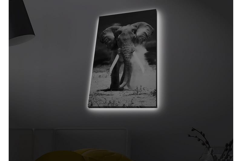 Canvastavla med LED-belysning - Storslagen elefant i svartvitt - Svart / Vitt - Inredning - Tavlor & posters - Canvastavla