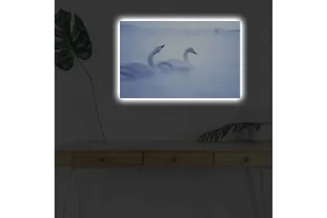 Canvastavla med LED-belysning - Svansar simmande i dimmig vattenmiljö - Ljusblå / Vit - Inredning - Tavlor & posters - Canvastavla