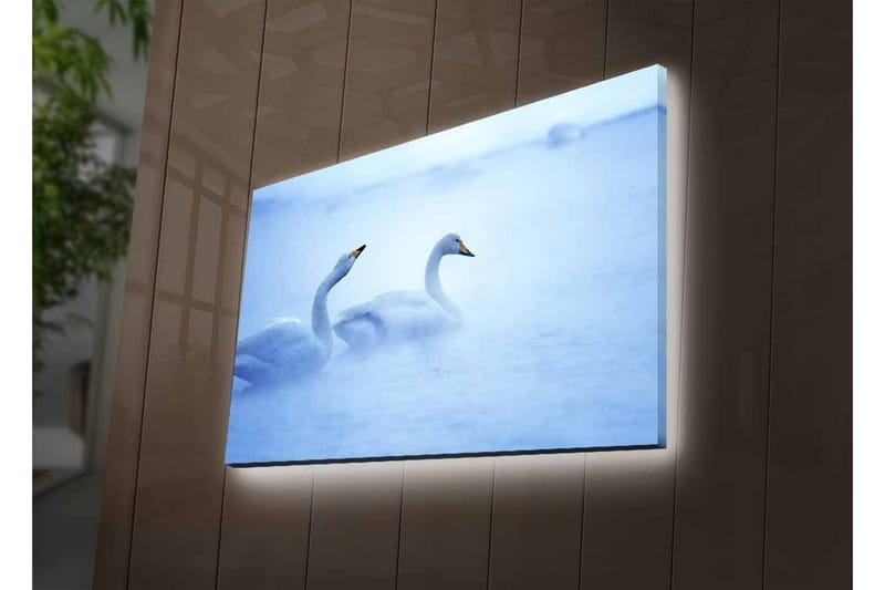 Canvastavla med LED-belysning - Svansar simmande i dimmig vattenmiljö - Ljusblå / Vit - Inredning - Tavlor & posters - Canvastavla