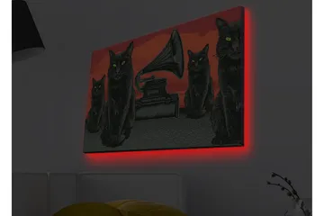 Canvastavla med LED-belysning - Svart katt med gröna ögon framför en grammofon på en röd bakgrund - Svart / Röd / Grön - Inredning - Tavlor & posters - Canvastavla
