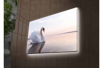 Canvastavla med LED-belysning - Svart svan som simmar i stilla vatten - Vit / Grå / Ljusblå - Inredning - Tavlor & posters - Canvastavla