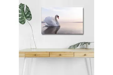 Canvastavla med LED-belysning - Svart svan som simmar i stilla vatten - Vit / Grå / Ljusblå - Inredning - Tavlor & posters - Canvastavla