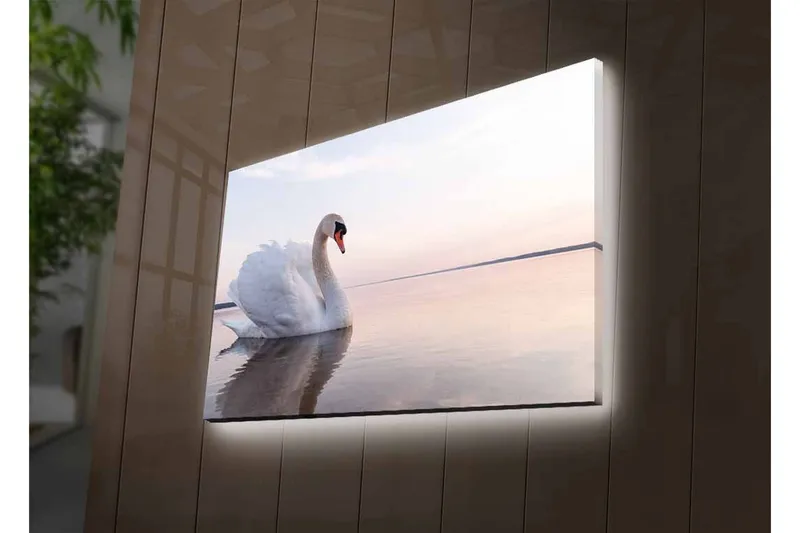 Canvastavla med LED-belysning - Svart svan som simmar i stilla vatten - Vit / Grå / Ljusblå - Inredning - Tavlor & posters - Canvastavla
