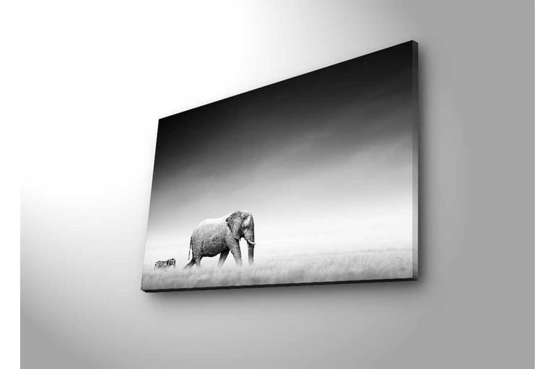 Canvastavla med LED-belysning - Svartvit bild av en elefant som går genom savannen med en zebra i bakgrunden - Svart / Vitt / Grått - Inredning - Tavlor & posters - Canvastavla