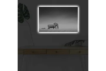 Canvastavla med LED-belysning - Svartvit bild av en elefant som går genom savannen med en zebra i bakgrunden - Svart / Vitt / Grått - Inredning - Tavlor & posters - Canvastavla