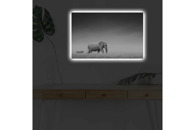 Canvastavla med LED-belysning - Svartvit bild av en elefant som går genom savannen med en zebra i bakgrunden - Svart / Vitt / Grått - Inredning - Tavlor & posters - Canvastavla