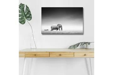 Canvastavla med LED-belysning - Svartvit bild av en elefant som går genom savannen med en zebra i bakgrunden - Svart / Vitt / Grått - Inredning - Tavlor & posters - Canvastavla
