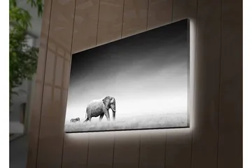 Canvastavla med LED-belysning - Svartvit bild av en elefant som går genom savannen med en zebra i bakgrunden - Svart / Vitt / Grått - Inredning - Tavlor & posters - Canvastavla