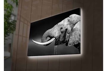 Canvastavla med LED-belysning - Svartvit elefant med hängande betar - Svart / Grå - Inredning - Tavlor & posters - Canvastavla