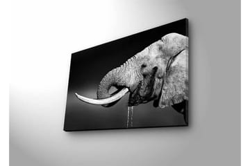 Canvastavla med LED-belysning - Svartvit elefant med hängande betar - Svart / Grå - Inredning - Tavlor & posters - Canvastavla